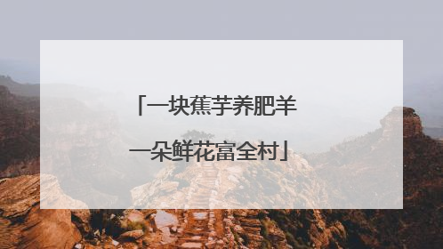 一块蕉芋养肥羊 一朵鲜花富全村