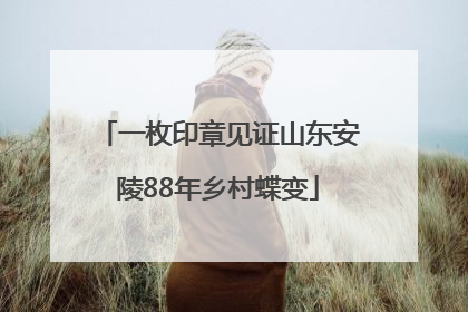 一枚印章见证山东安陵88年乡村蝶变