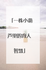 一株小葫芦里的育人智慧