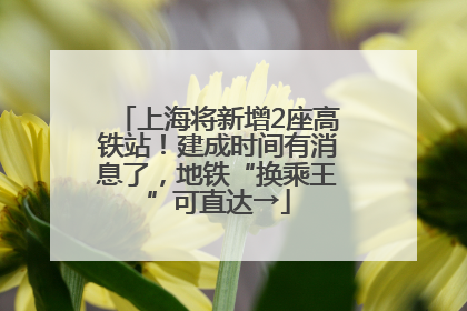 上海将新增2座高铁站！建成时间有消息了，地铁“换乘王”可直达→