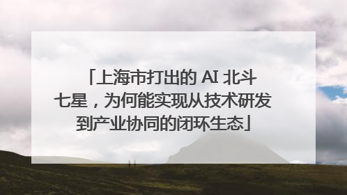 上海市打出的 AI 北斗七星，为何能实现从技术研发到产业协同的闭环生态