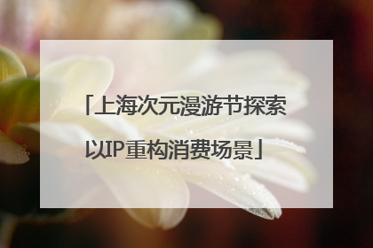 上海次元漫游节探索以IP重构消费场景