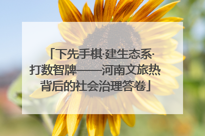 下先手棋·建生态系·打数智牌——河南文旅热背后的社会治理答卷