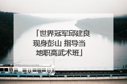 世界冠军邱建良现身彭山 指导当地职高武术班