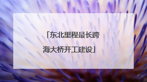 东北里程最长跨海大桥开工建设
