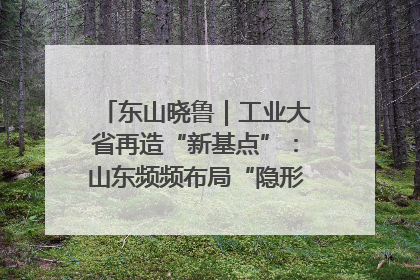 东山晓鲁｜工业大省再造“新基点”：山东频频布局“隐形冠军”背后