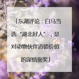 东湖评论：白马当选“湖北好人”，是对动物伙伴道德价值的深情褒奖