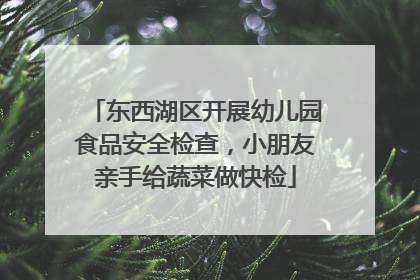 东西湖区开展幼儿园食品安全检查，小朋友亲手给蔬菜做快检