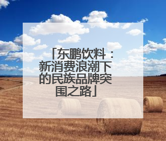 东鹏饮料：新消费浪潮下的民族品牌突围之路