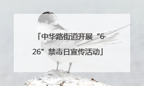 中华路街道开展“6·26”禁毒日宣传活动