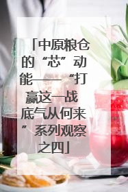 中原粮仓的“芯”动能——“打赢这一战 底气从何来”系列观察之四