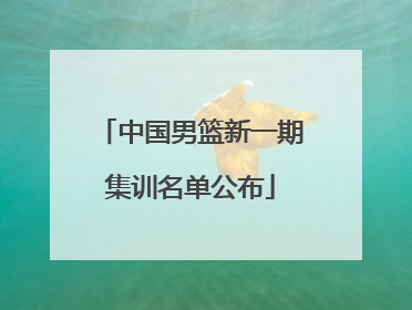 中国男篮新一期集训名单公布