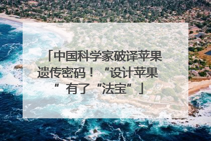 中国科学家破译苹果遗传密码！“设计苹果”有了“法宝”