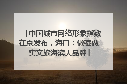 中国城市网络形象指数在京发布，海口：做强做实文旅海滨大品牌