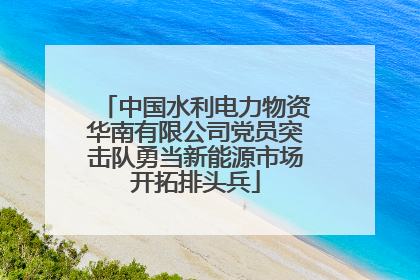 中国水利电力物资华南有限公司党员突击队勇当新能源市场开拓排头兵