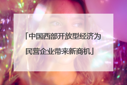 中国西部开放型经济为民营企业带来新商机
