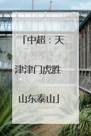 中超：天津津门虎胜山东泰山