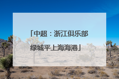 中超：浙江俱乐部绿城平上海海港
