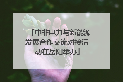 中非电力与新能源发展合作交流对接活动在岳阳举办