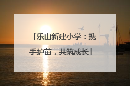 乐山新建小学：携手护苗，共筑成长