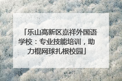 乐山高新区嘉祥外国语学校：专业技能培训，助力棍网球扎根校园