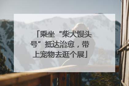 乘坐“柴犬馒头号”抵达治愈，带上宠物去逛个展