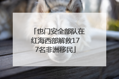 也门安全部队在红海西部解救177名非洲移民