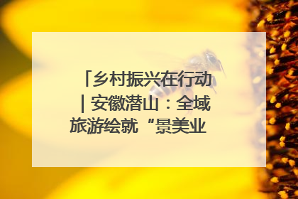 乡村振兴在行动｜安徽潜山：全域旅游绘就“景美业兴民富”新画卷