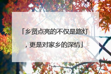 乡贤点亮的不仅是路灯，更是对家乡的深情