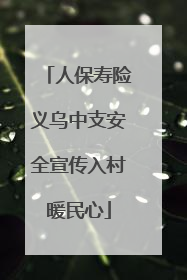 人保寿险义乌中支安全宣传入村暖民心