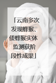 云南多次发现蜂猴、倭蜂猴实体 监测获阶段性成果