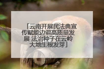 云南开展民法典宣传赋能边疆高质量发展 法治种子在云岭大地生根发芽