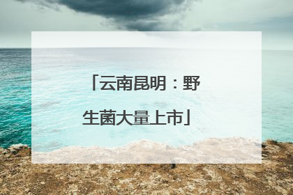 云南昆明：野生菌大量上市