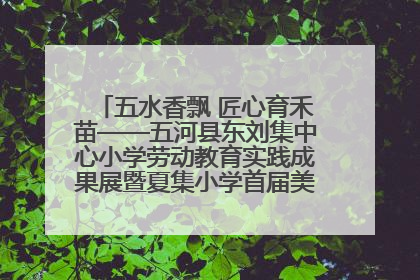 五水香飘 匠心育禾苗——五河县东刘集中心小学劳动教育实践成果展暨夏集小学首届美食节盛大举行
