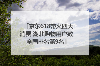 京东618带火四大消费 湖北购物用户数全国排名第9名