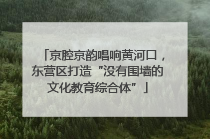 京腔京韵唱响黄河口，东营区打造“没有围墙的文化教育综合体”