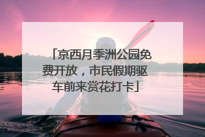 京西月季洲公园免费开放，市民假期驱车前来赏花打卡