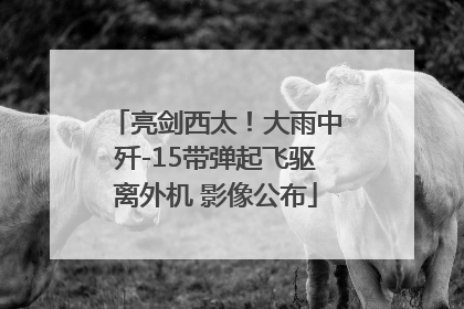 亮剑西太！大雨中歼-15带弹起飞驱离外机 影像公布