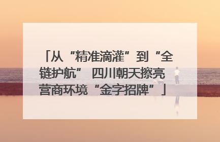 从“精准滴灌”到“全链护航” 四川朝天擦亮营商环境“金字招牌”