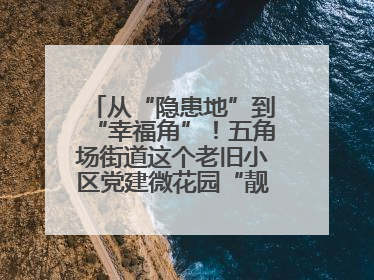 从“隐患地”到“幸福角”！五角场街道这个老旧小区党建微花园“靓”出幸福新图景