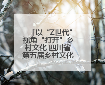 以“Z世代”视角“打开”乡村文化 四川省第五届乡村文化振兴魅力竞演大赛启动