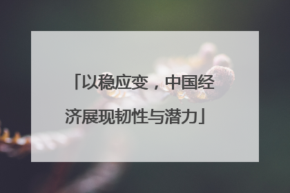 以稳应变，中国经济展现韧性与潜力
