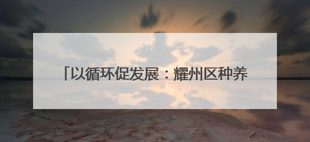 以循环促发展：耀州区种养循环项目观摩会成功举办