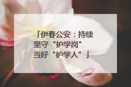 伊春公安：持续坚守“护学岗” 当好“护学人”