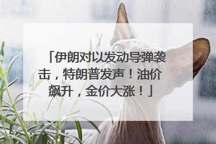 伊朗对以发动导弹袭击，特朗普发声！油价飙升，金价大涨！
