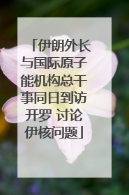 伊朗外长与国际原子能机构总干事同日到访开罗 讨论伊核问题
