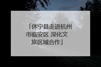 休宁县走进杭州市临安区 深化文旅区域合作