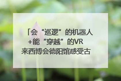 会“巡逻”的机器人+能“穿越”的VR 来西博会德阳馆感受古蜀文明与现代智造的时空对话｜西博视界