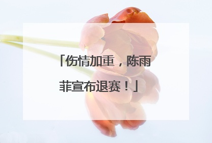 伤情加重，陈雨菲宣布退赛！