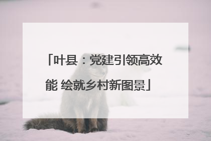 叶县：党建引领高效能 绘就乡村新图景